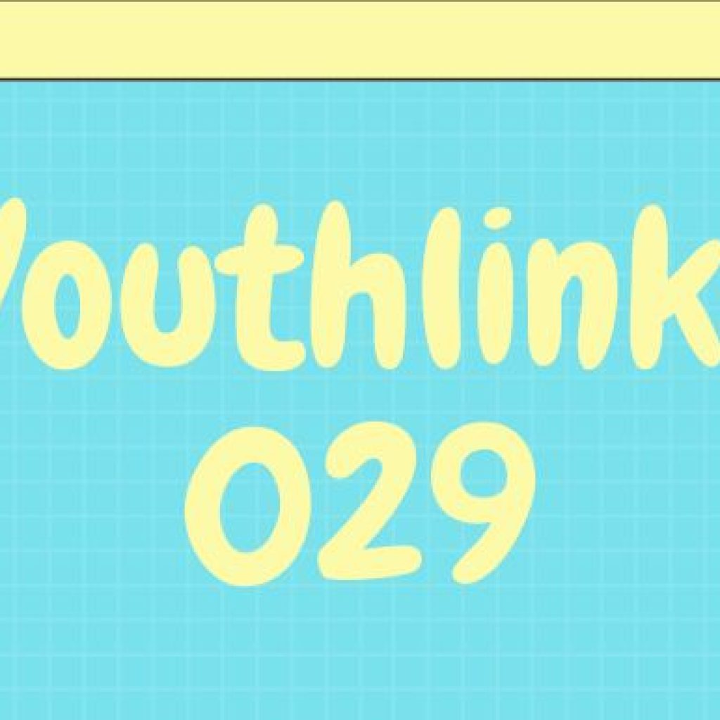 Youthlinks 029